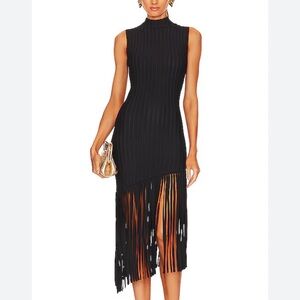 Ronny Kobo Fringe Dress!